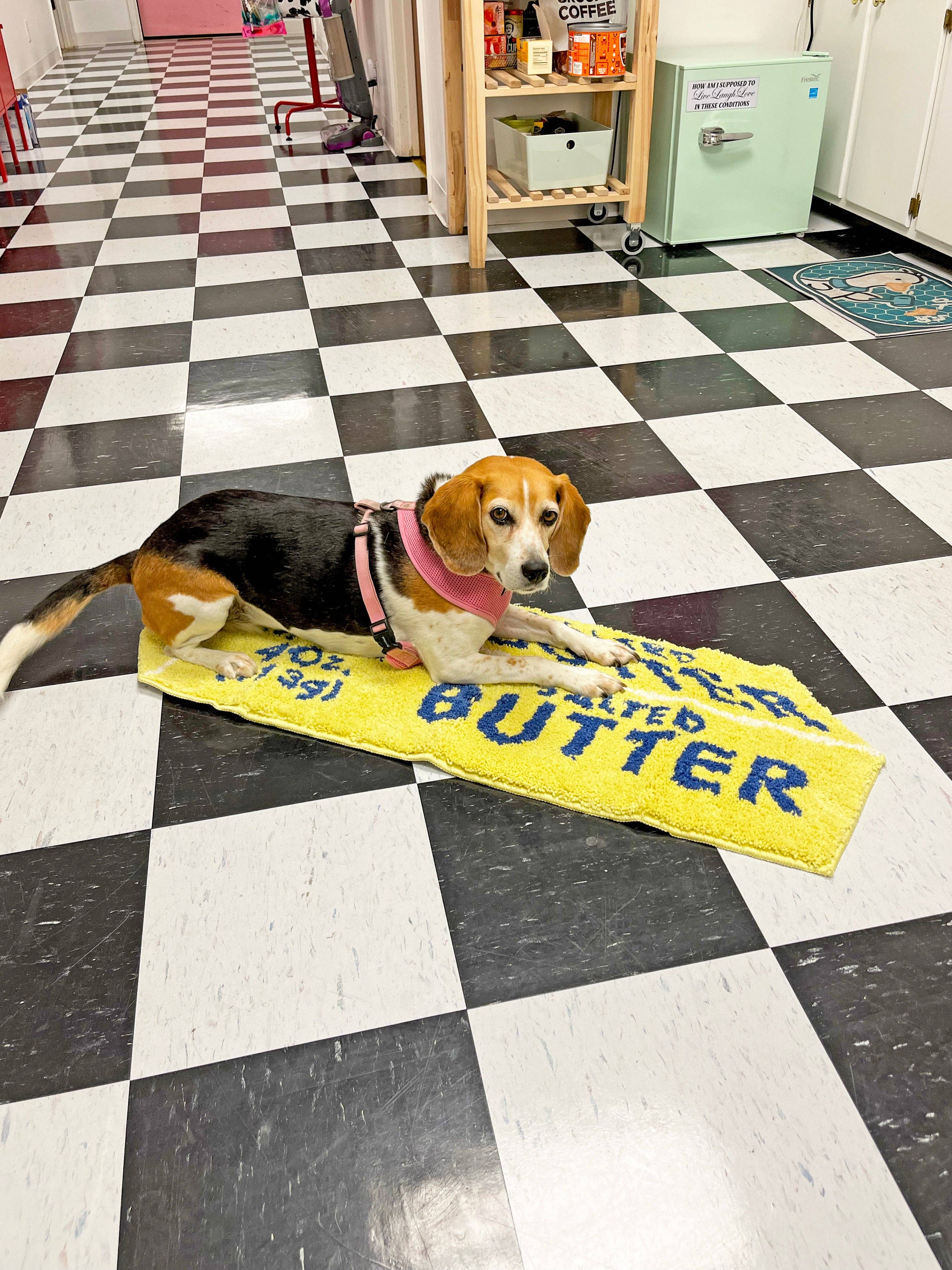 Butter Rug with beagle dog laying on top
