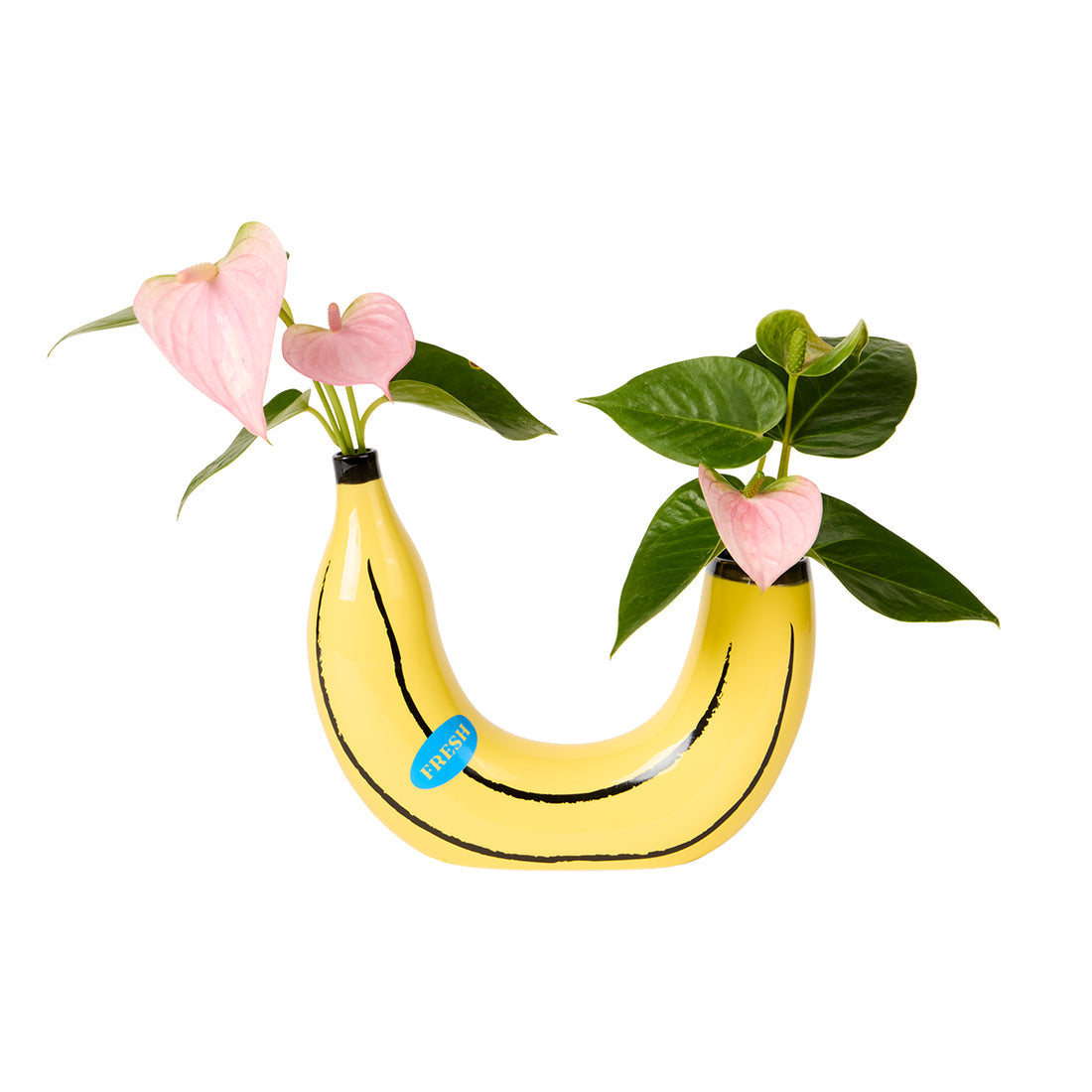 Ceramic banana-shaped vase with two openings for flowers