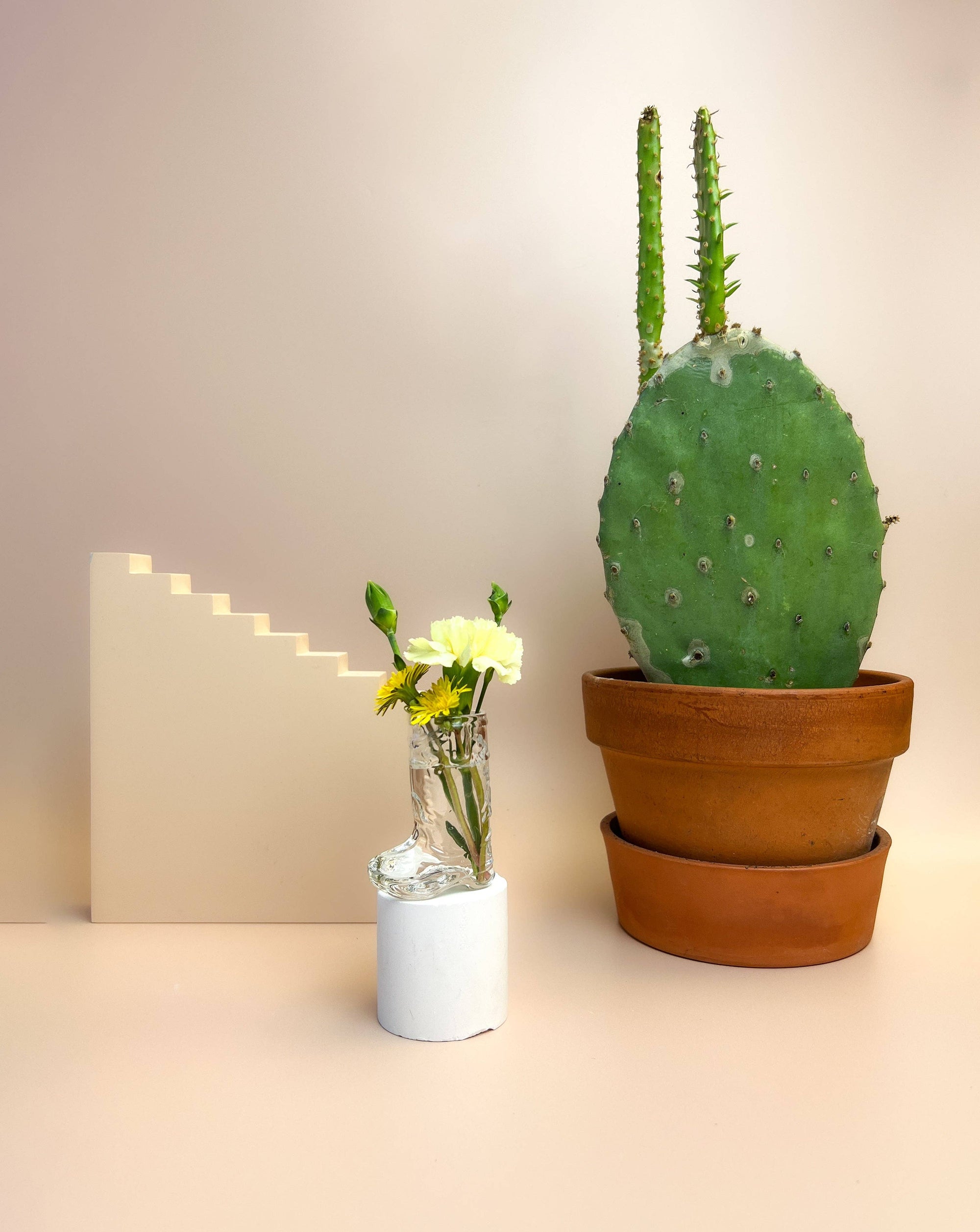 cowboy boot shot glass used as a vase next to a cactus