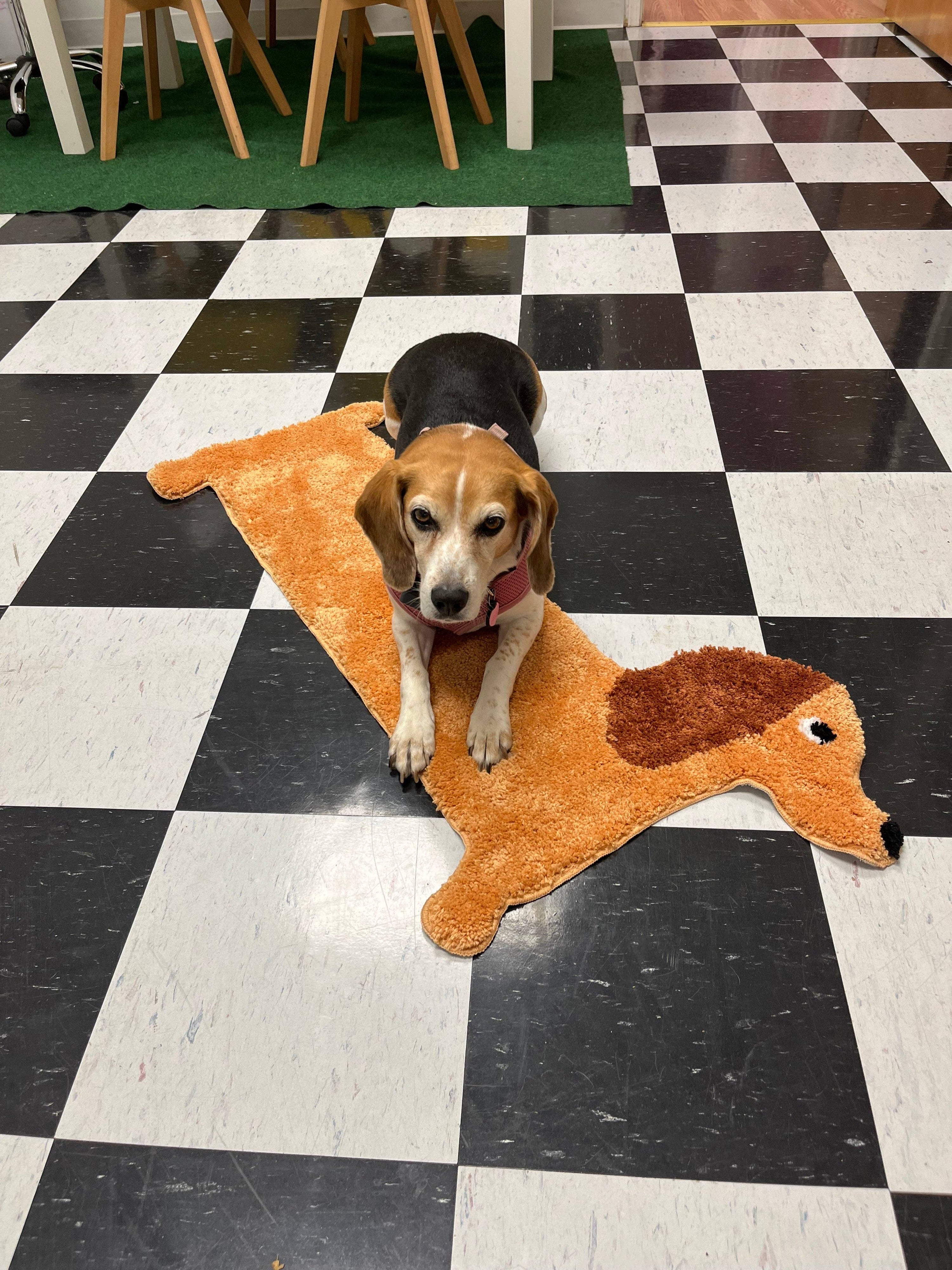 Dog sitting on a checkered floor with a dog-shaped rug