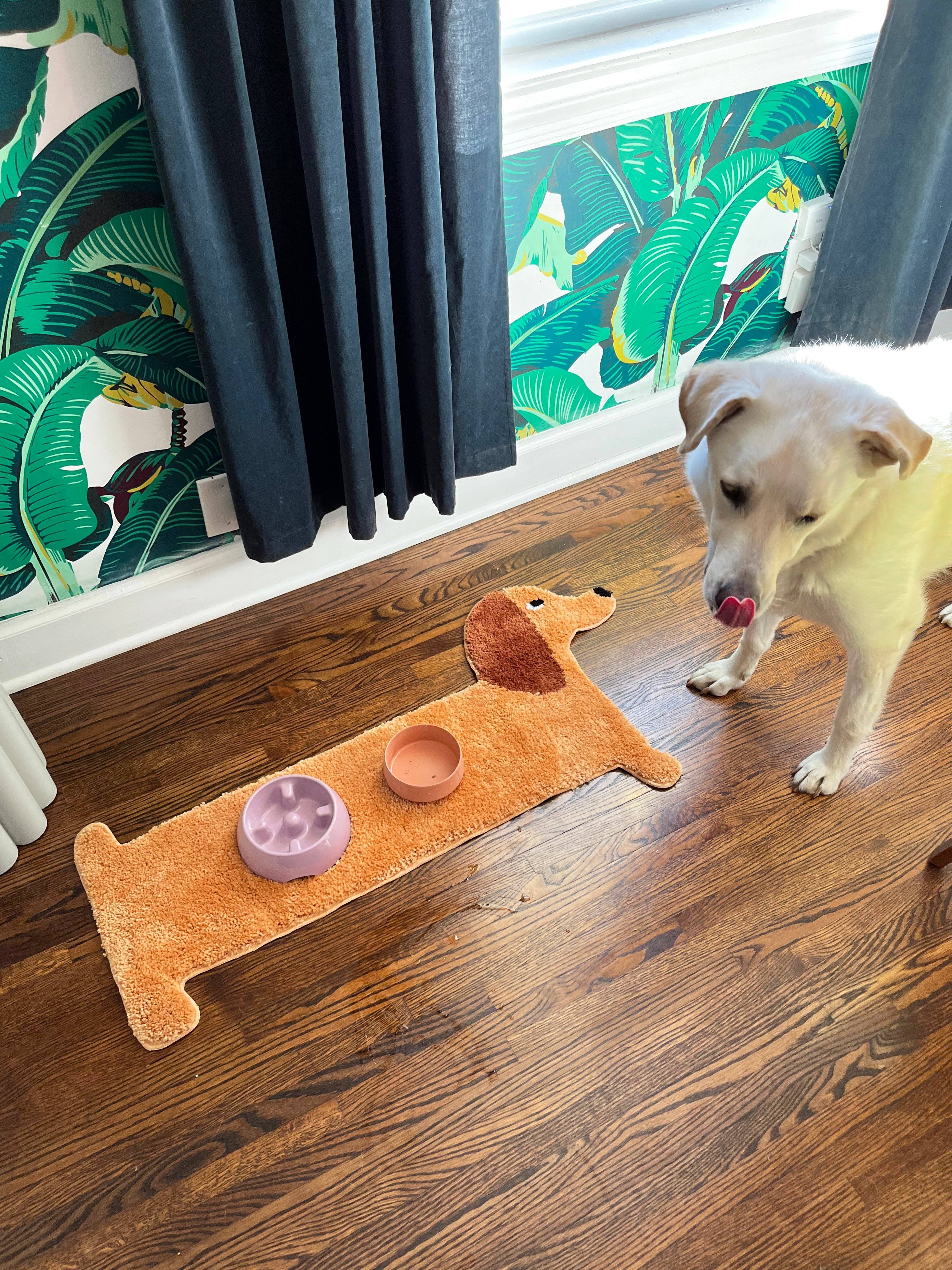 Dog playing with a toy shaped like a dachshund on a wooden floor.