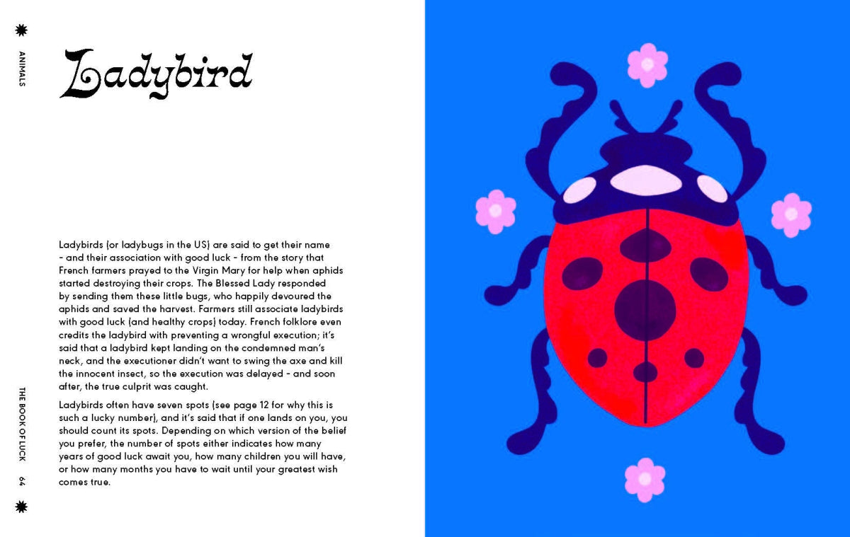 Illustration of a ladybug with text on a blue background